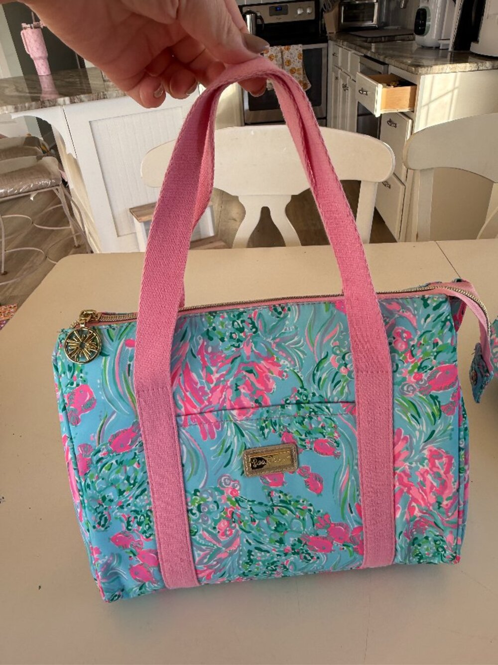 Lilly pulitzer insulated bag Lunch Tote / Lunch Cooler Best Fishes VGUC